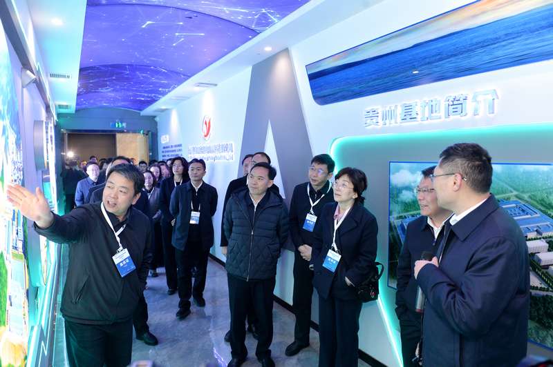 参会嘉宾到贵州裕能、福泉盛屯企业实地考察。向忆峰摄