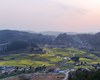 8000亩油菜花绘就增收好“钱”景
