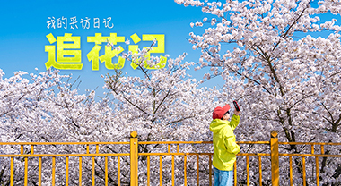 追花记