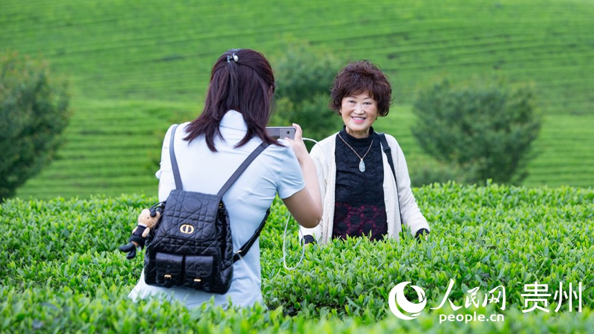 游客在茶园拍照打卡。人民网 黄小桃摄